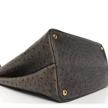 Prada Ostrich Double Bag Grey 8 of 9