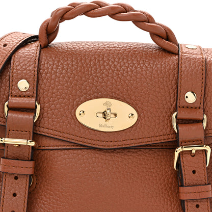 Mulberry Heavy Grain Mini Alexa Chestnut 7 of 9