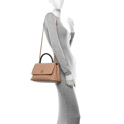 Chanel Caviar Lizard Embossed Quilted Small Coco Handle Flap Beige 3 of 12