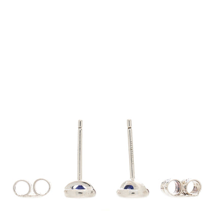 Tiffany Sterling Silver Tanzanite Color By The Yard Earrings 4 of 5