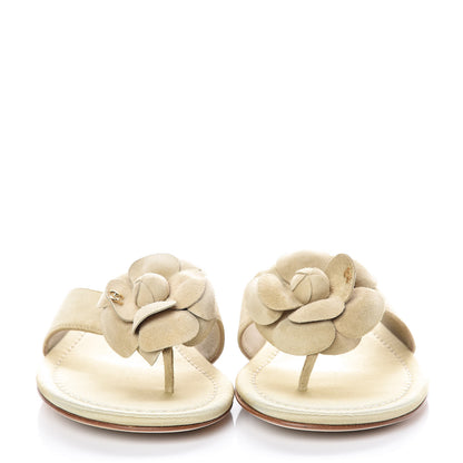 Chanel Suede Calfskin Camellia Thong Sandals 37.5 Beige 2 of 11