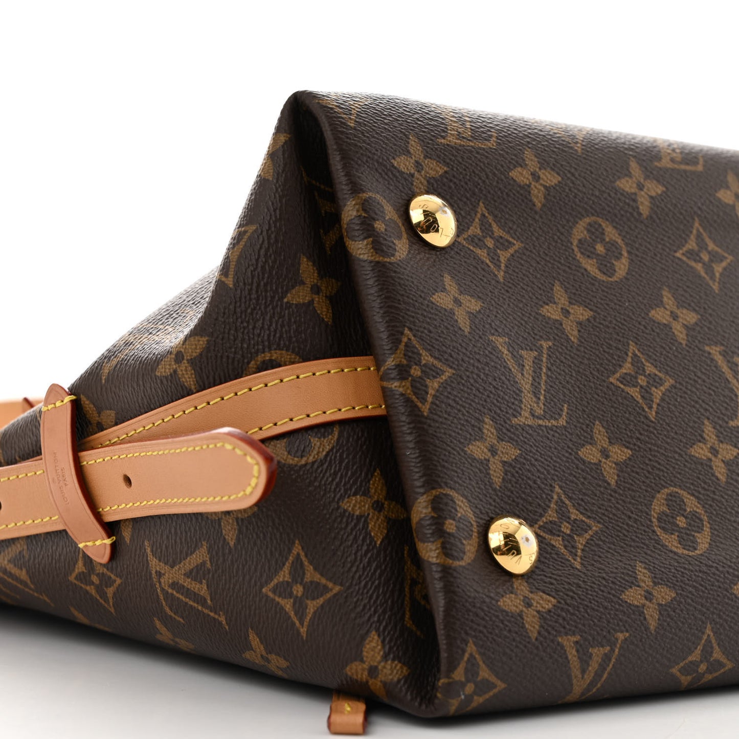 Monogram CarryAll PM