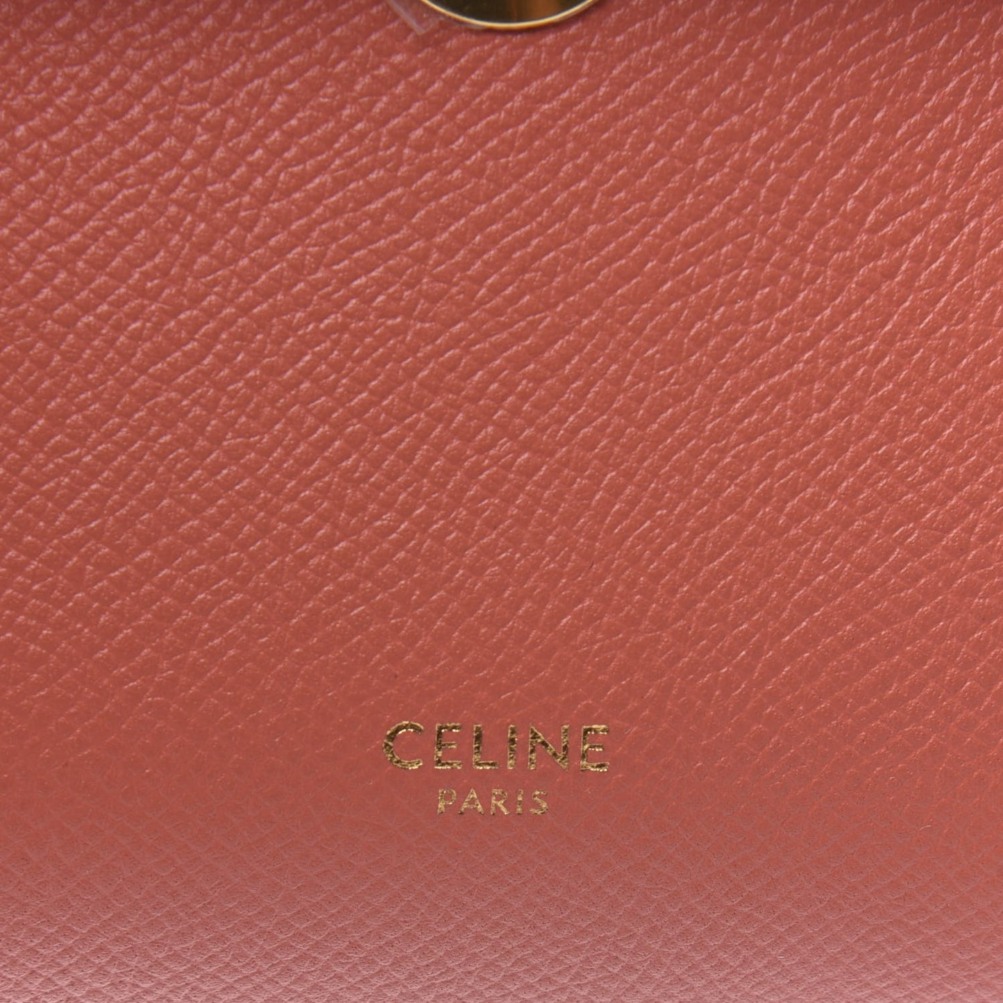 Grained Calfskin Pico Belt Bag Lychee