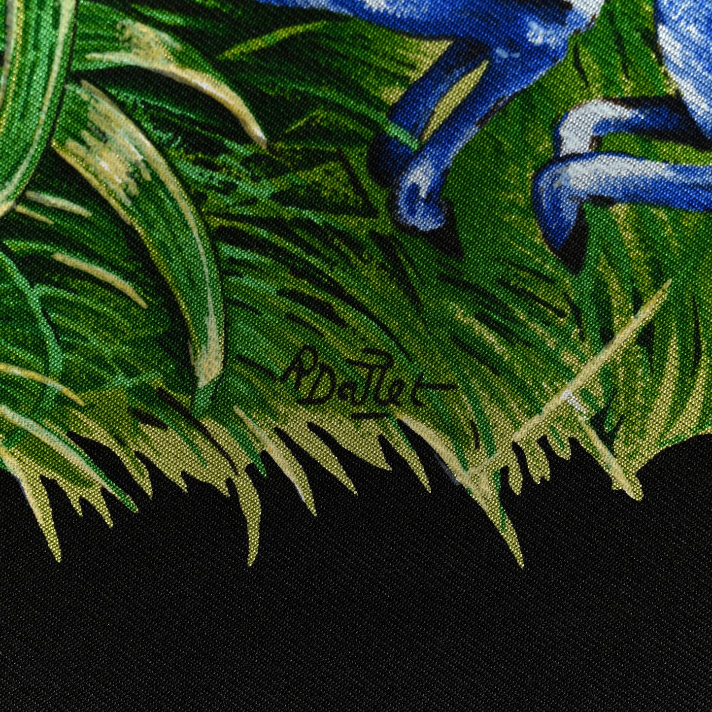 Silk Equateur Scarf 90 Black Vert Bleu