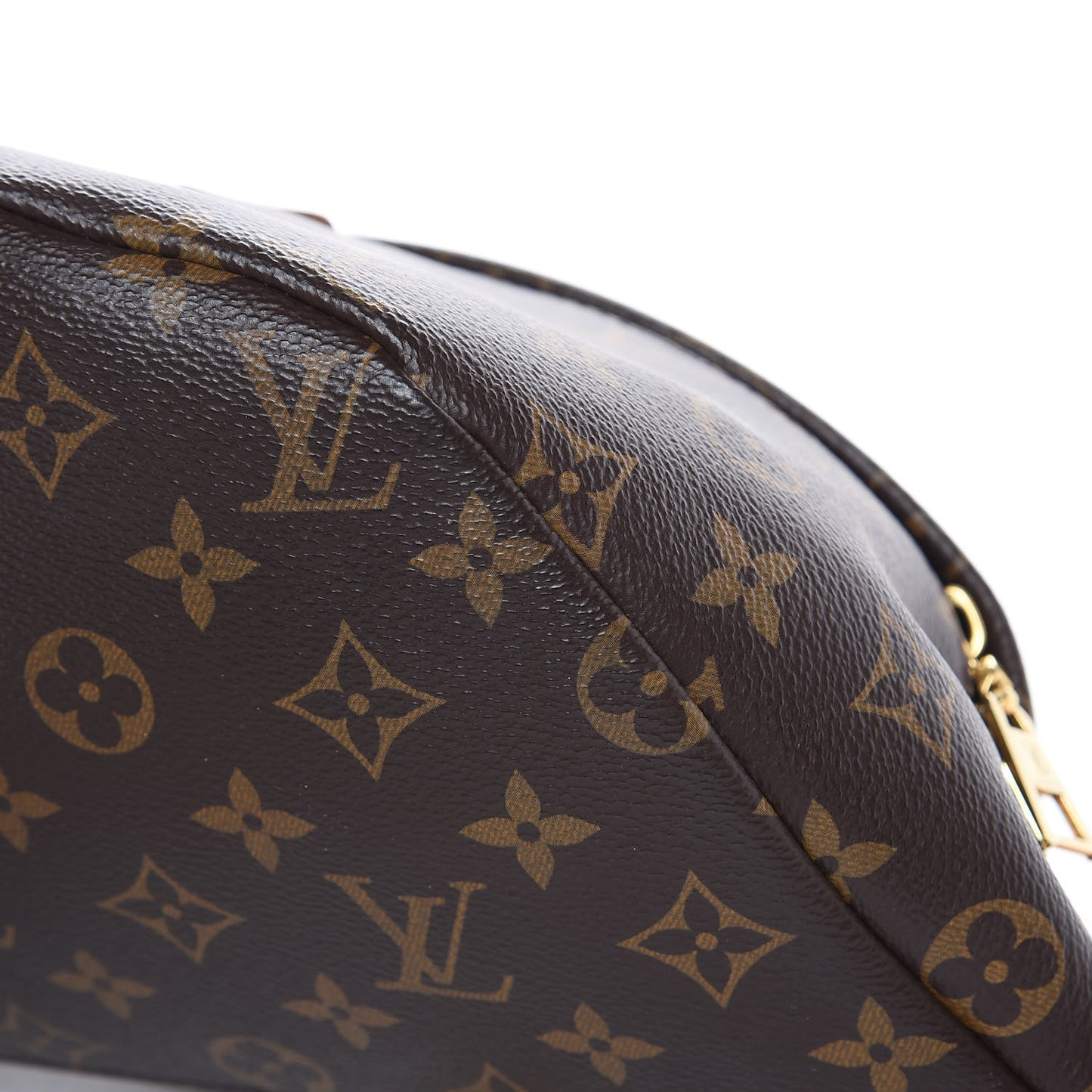 Monogram Bumbag