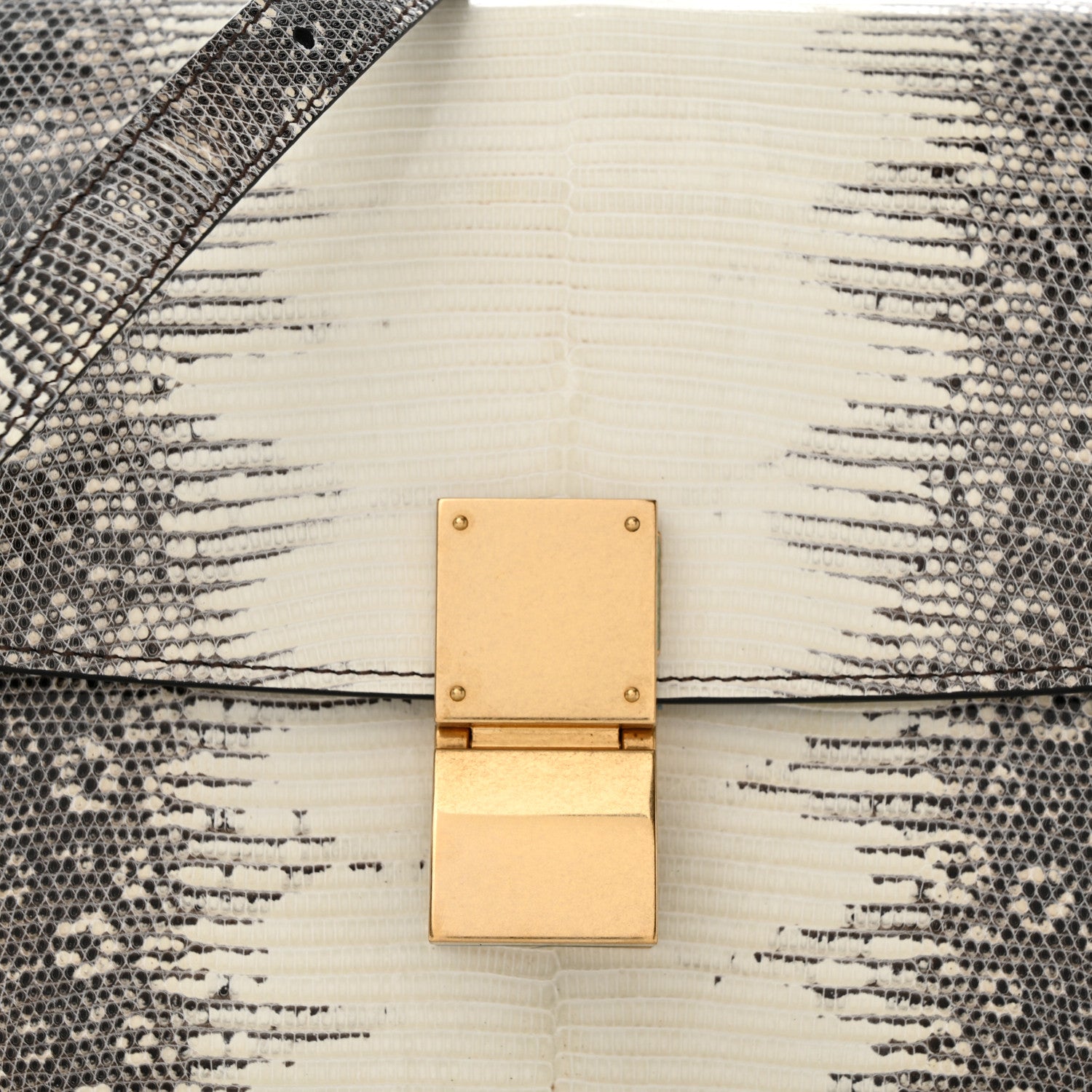 Celine Lizard Medium Classic Box Flap Bag Natural 7 of 9