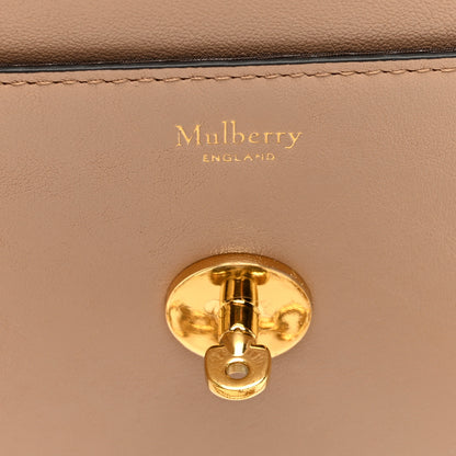 Mulberry Small Classic Grain Calfskin Small Darley Maple 6 of 9