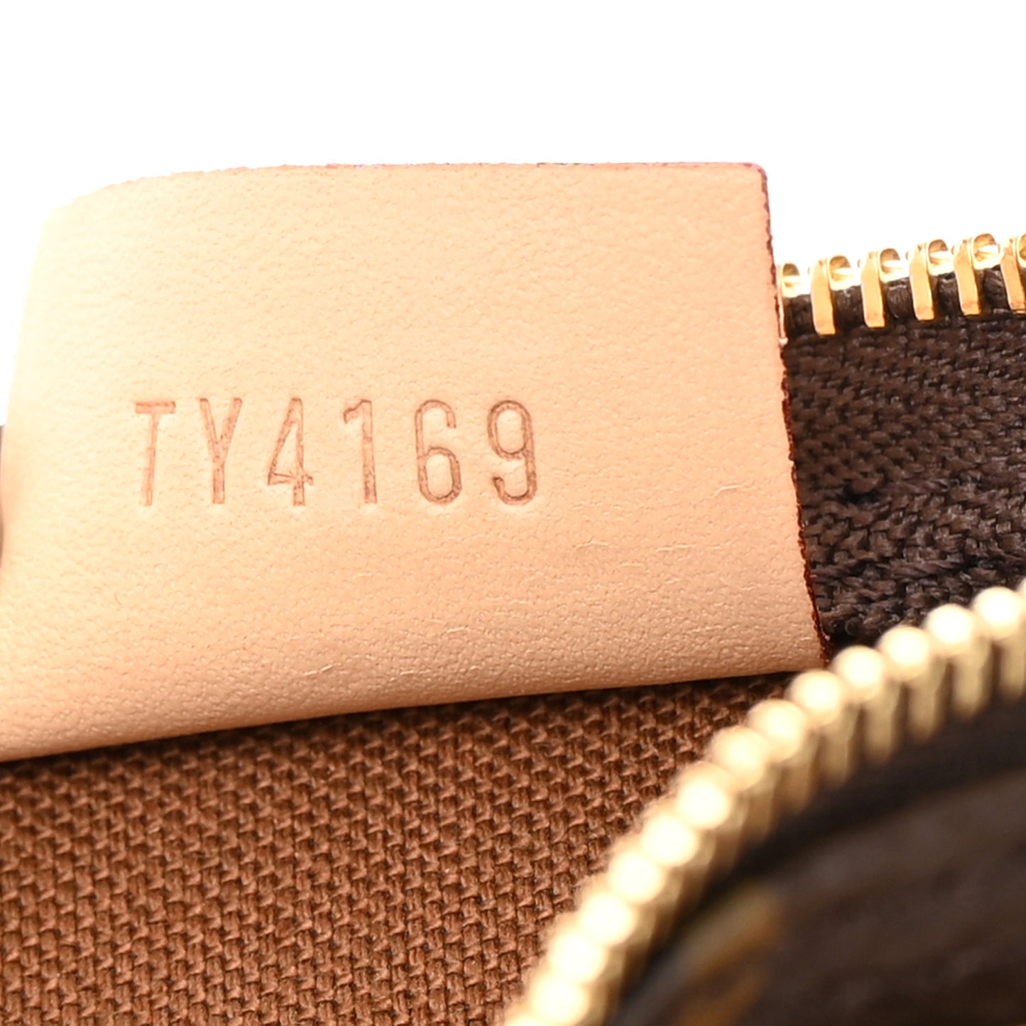 Monogram Nano Speedy