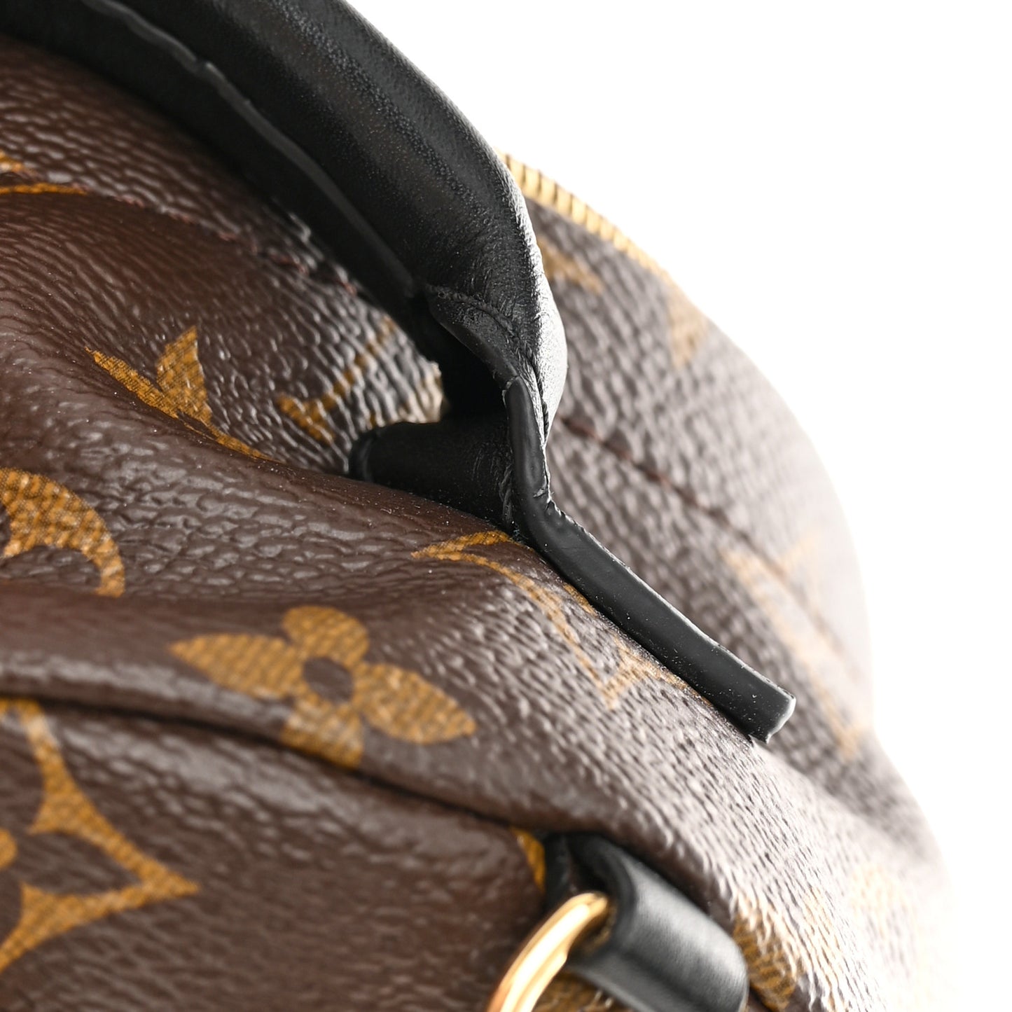 Monogram Palm Springs Backpack Mini