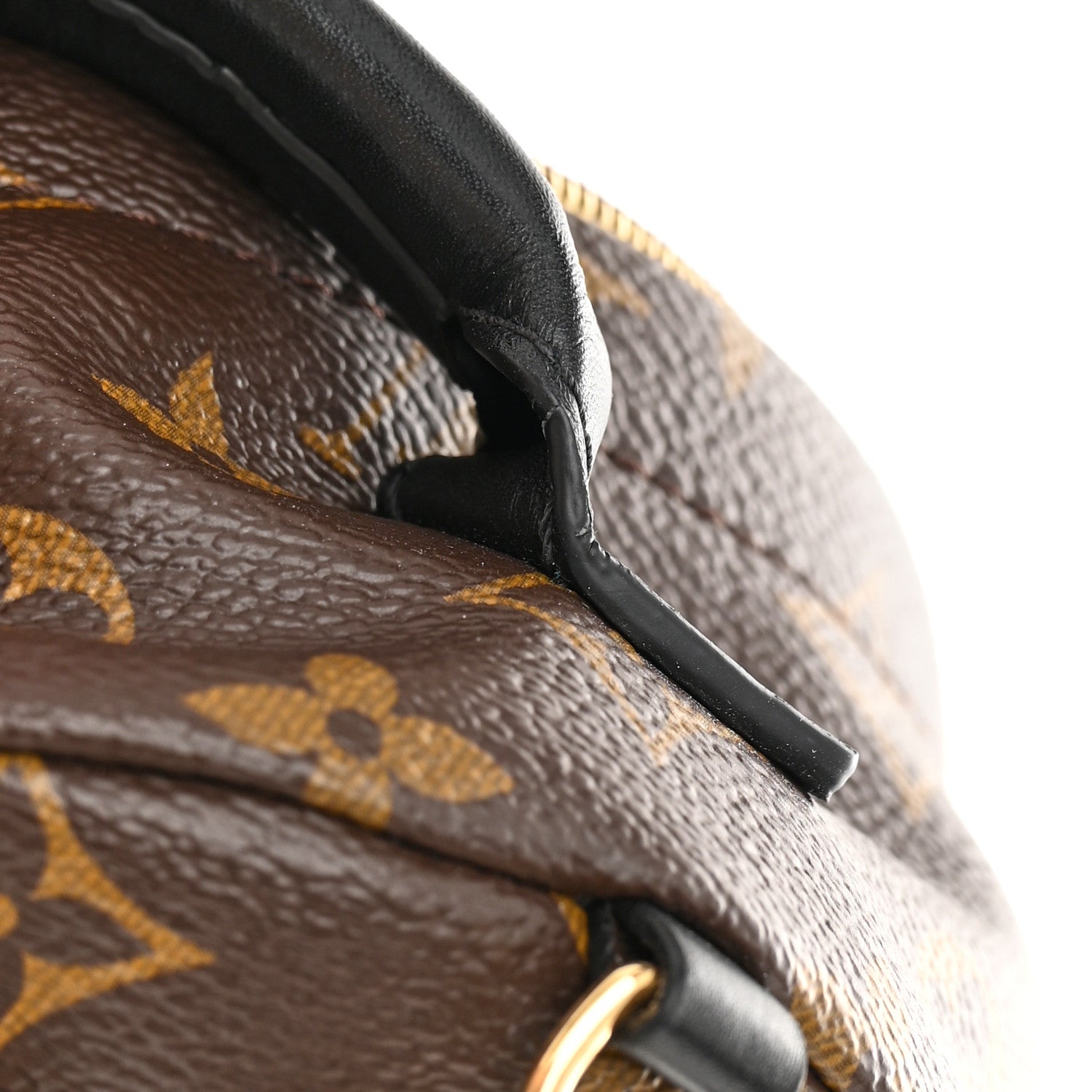 Louis Vuitton Monogram Palm Springs Backpack Mini 12 of 14