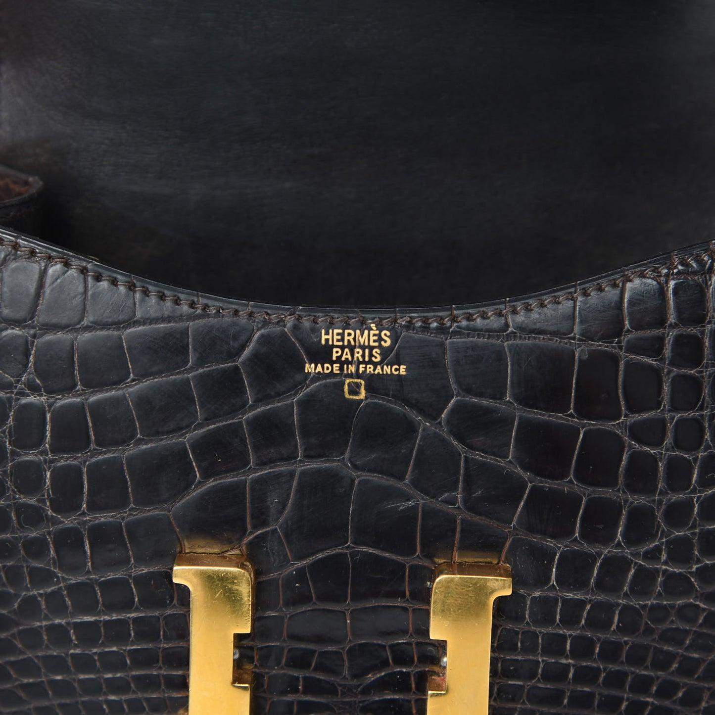 Shiny Alligator Micro Constance 14 Ebene