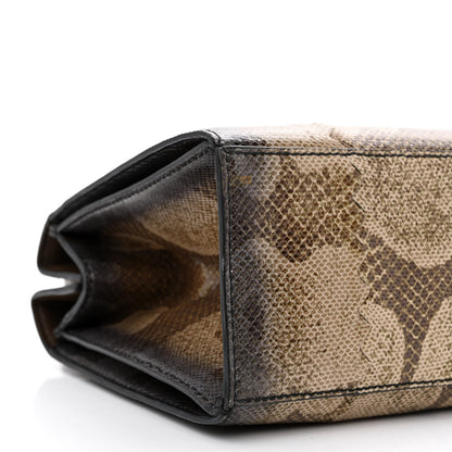 Bottega Veneta Watersnake Accordion Satchel 9 of 12