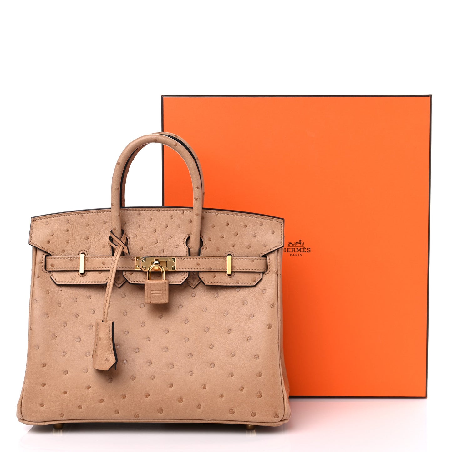 Ostrich Birkin 25 Chai