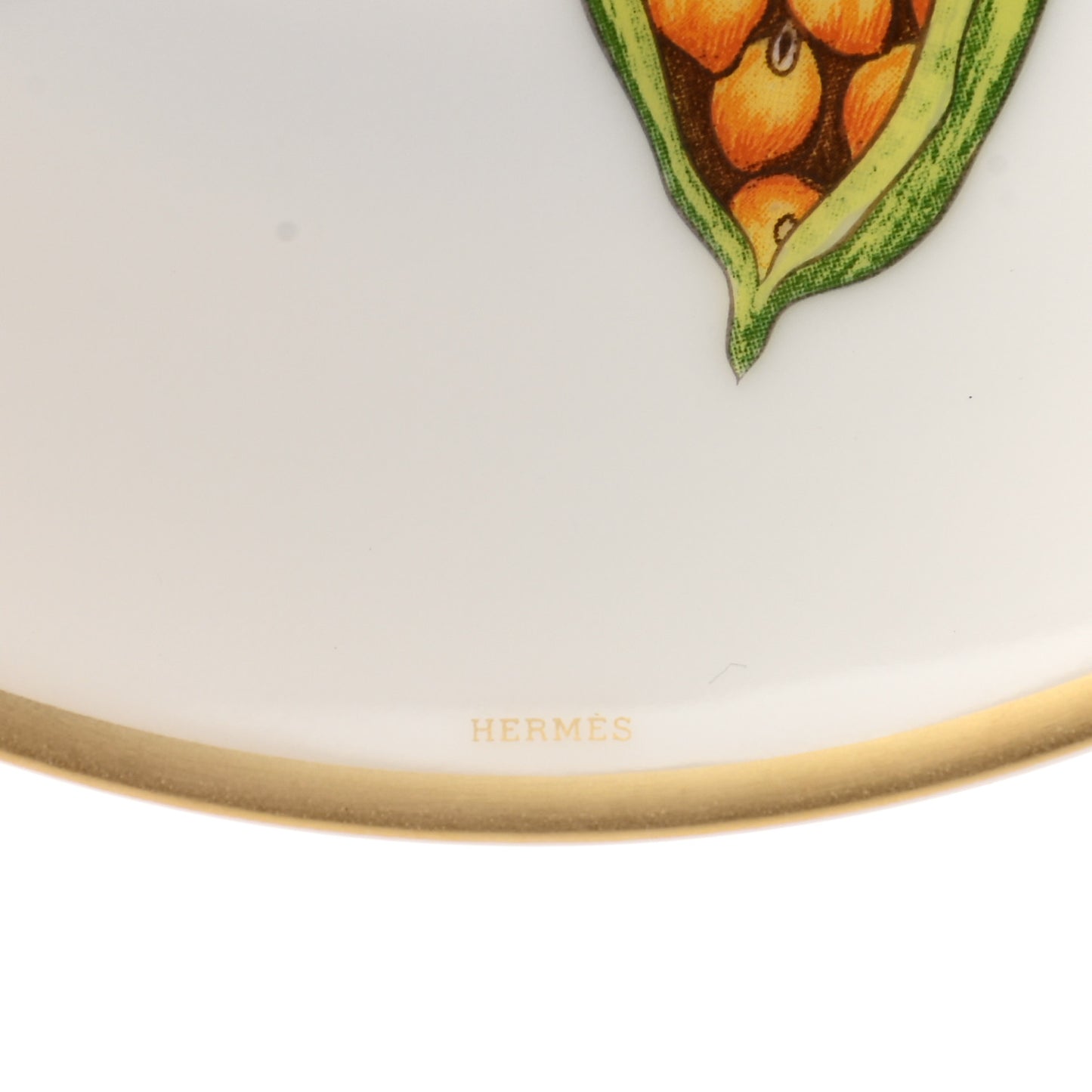 Porcelain Passifolia Bread and Butter Plate Set of 2