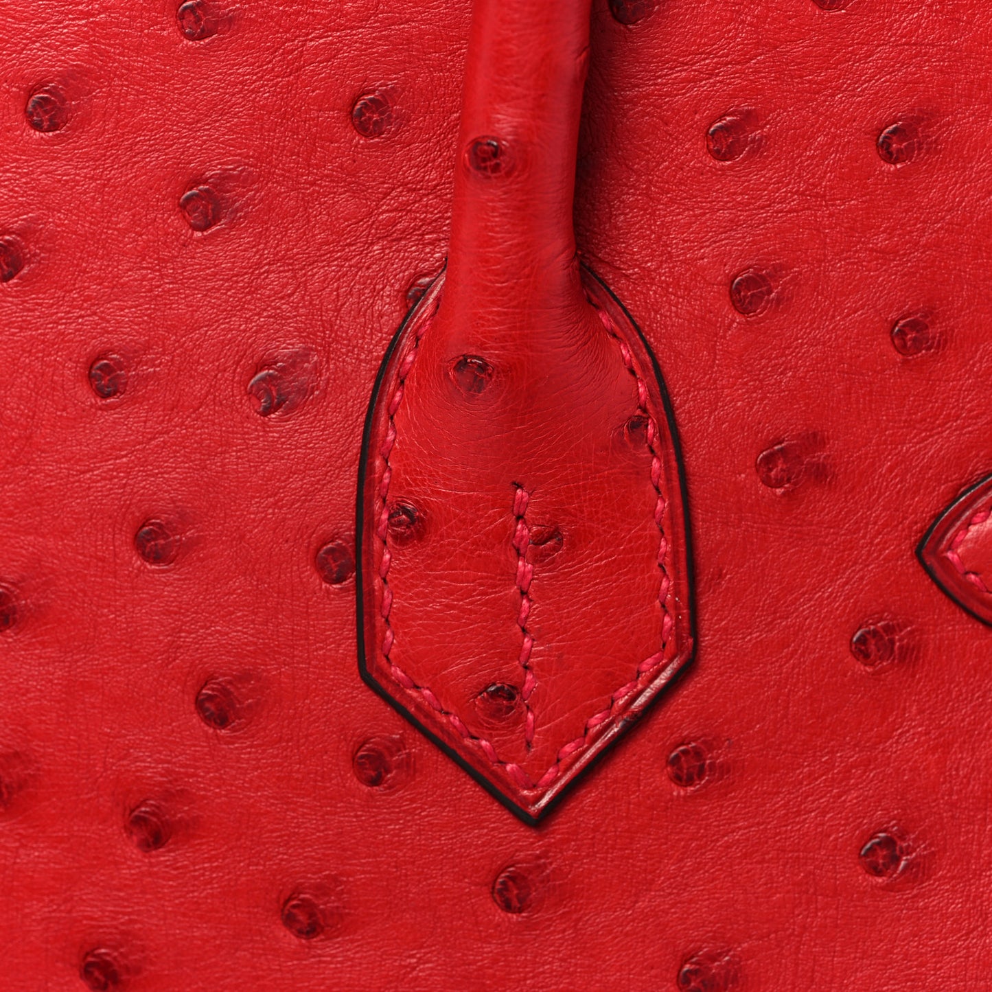 Ostrich Horseshoe Birkin 30 Rouge Vif Bleu Glacier