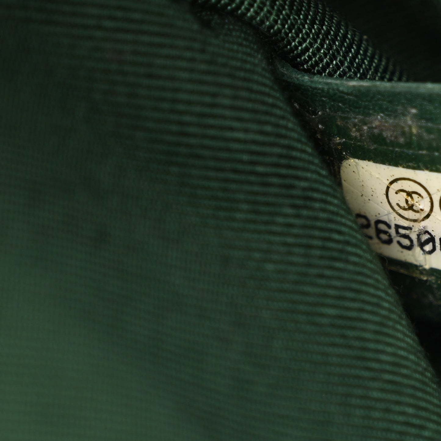 Calfskin Grosgrain Stitched Button Up Camera Case Green