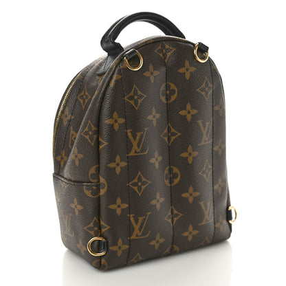 Louis Vuitton Monogram Palm Springs Backpack Mini 3 of 11