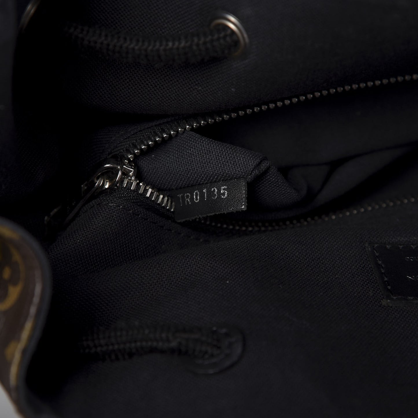 Monogram Macassar Christopher PM Backpack