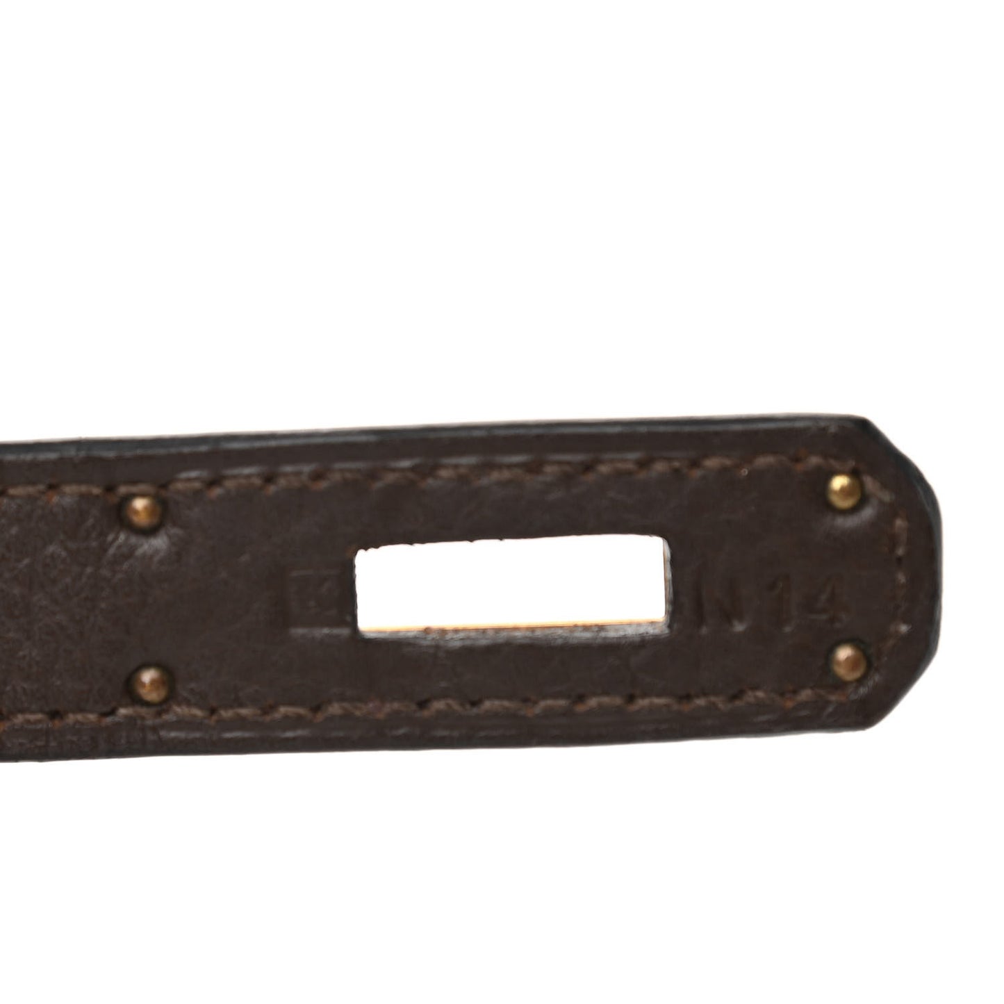 Taurillon Clemence Kelly Retourne 32 Chocolate
