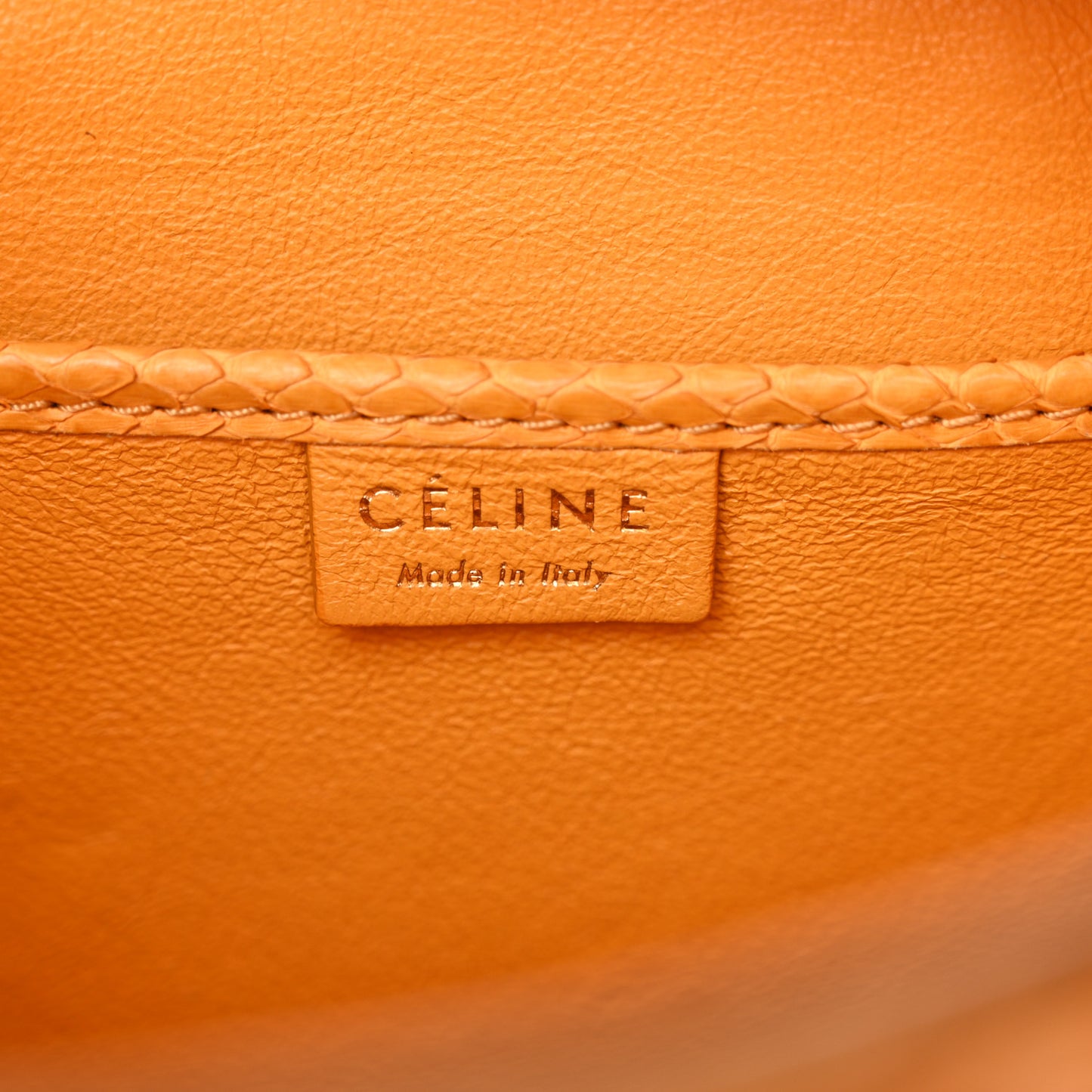 Snakeskin Calfskin Nano Luggage Yellow