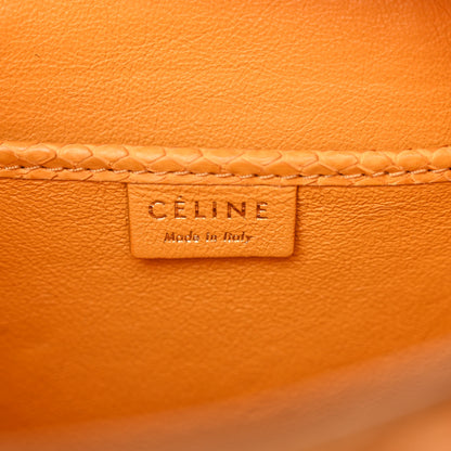 Celine Snakeskin Calfskin Nano Luggage Yellow 6 of 21