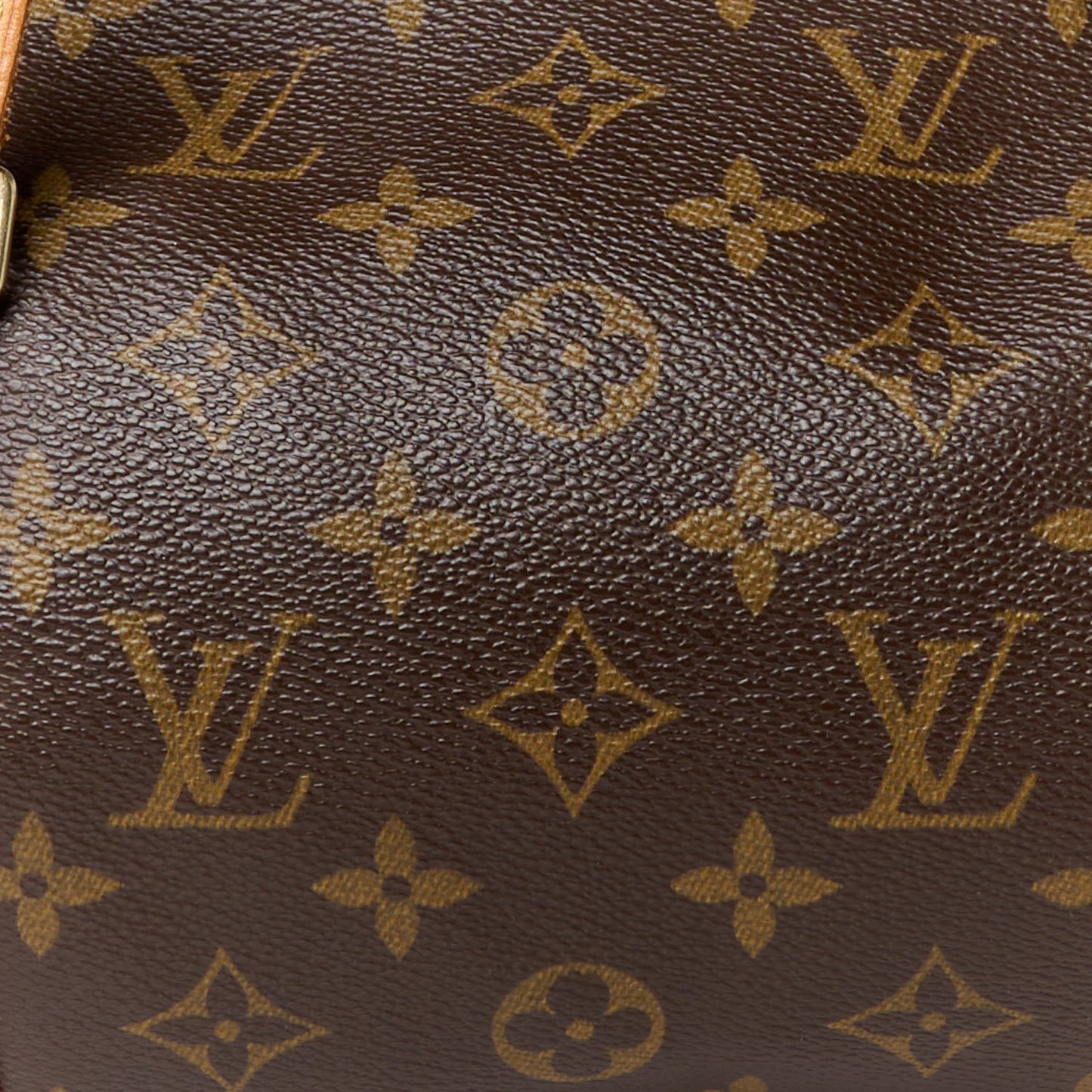 Monogram Papillon 30
