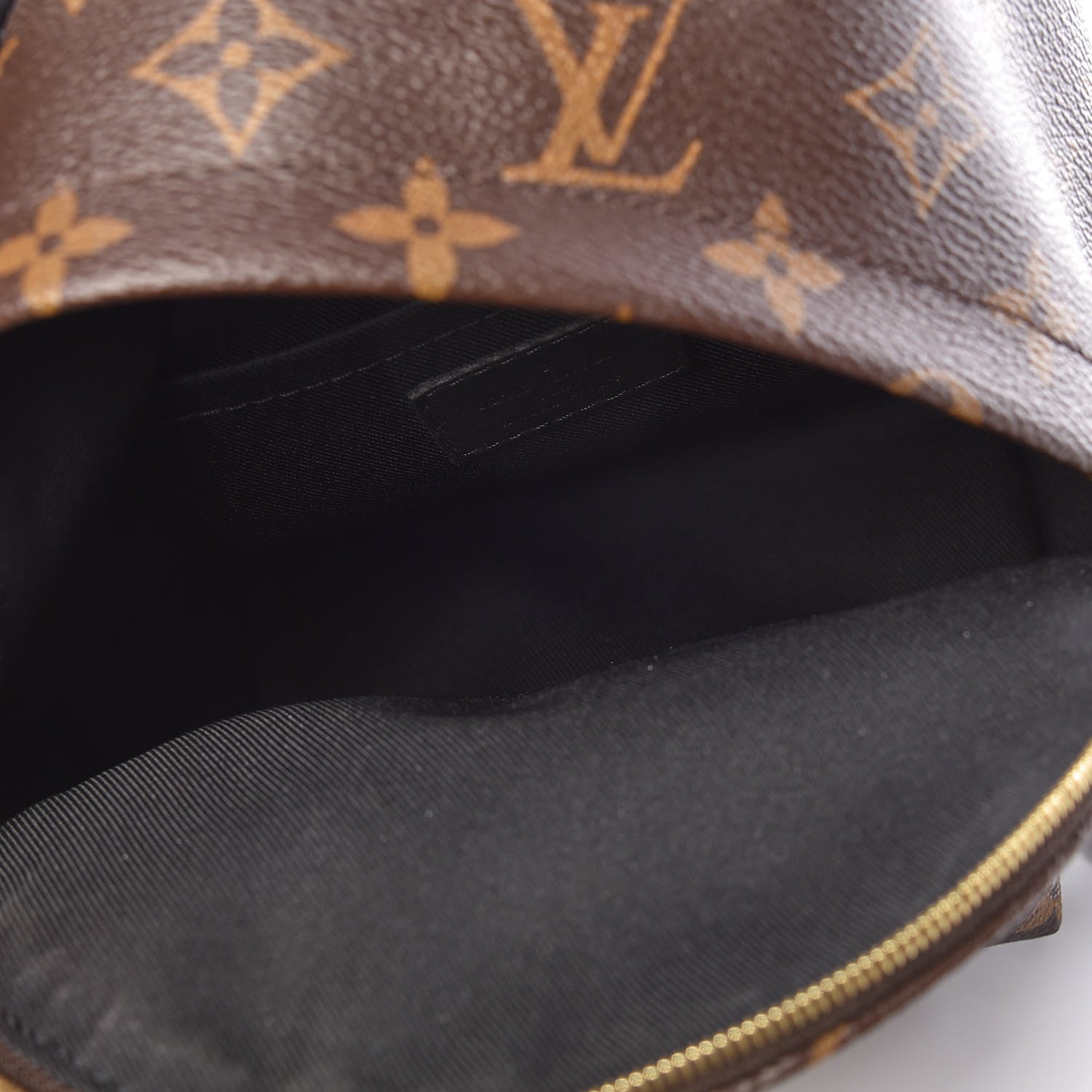 Louis Vuitton Monogram Palm Springs Backpack Mini 7 of 10