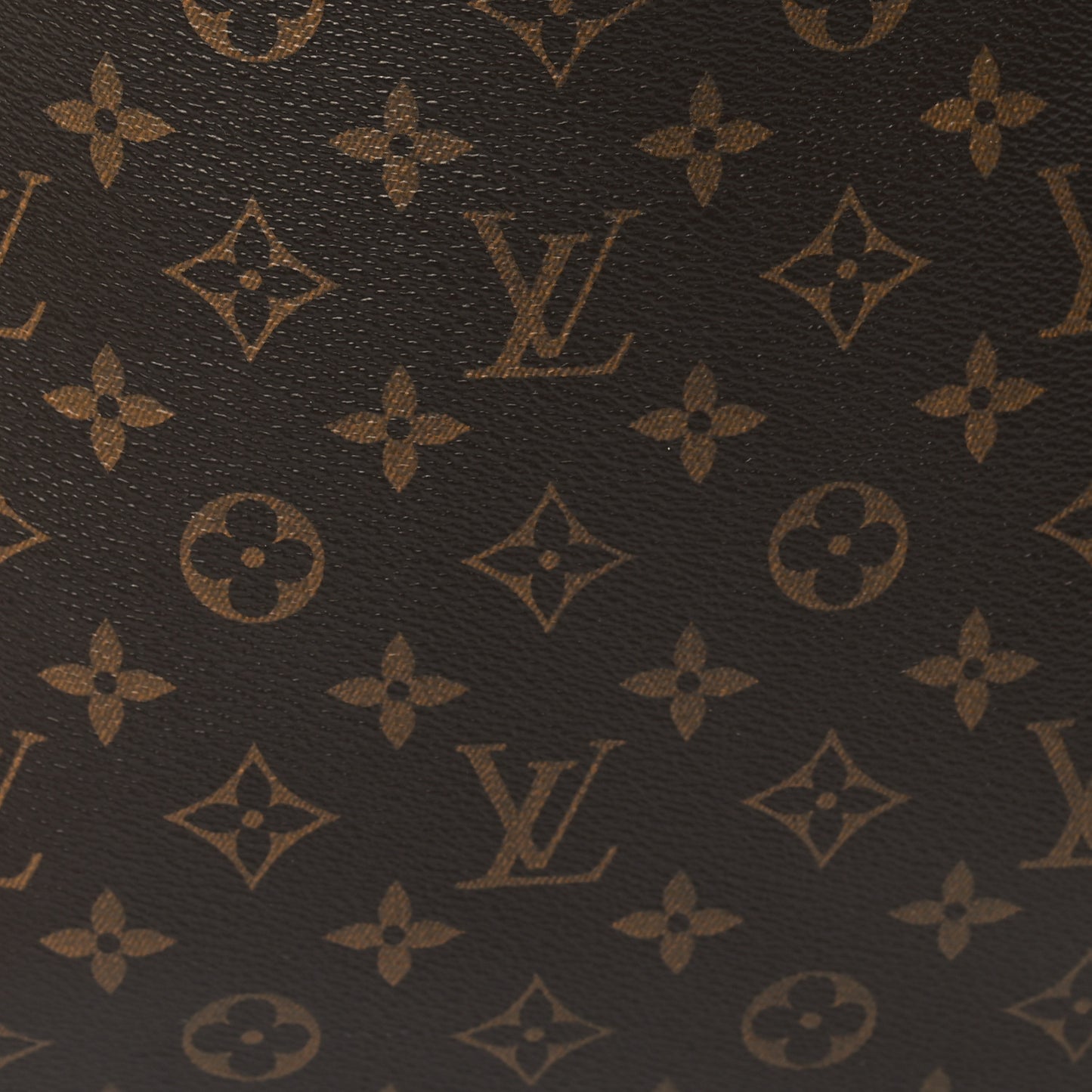 Monogram Delightful MM