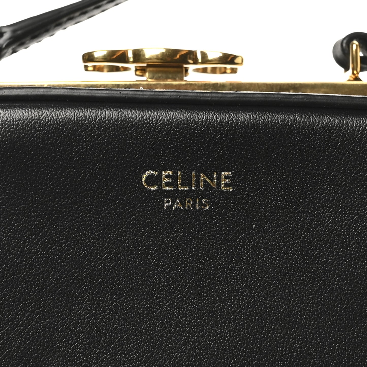 Shiny Calfskin Lana Triomphe Minaudiere Black