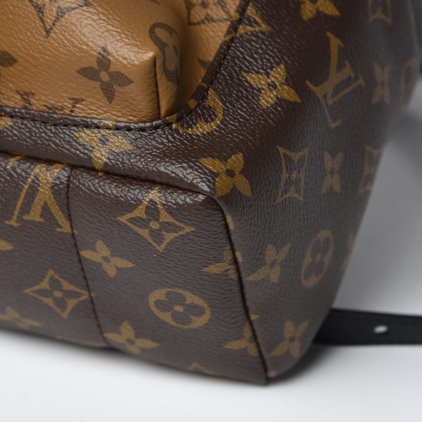 Reverse Monogram Palm Springs Backpack PM