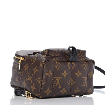 Louis Vuitton Monogram Palm Springs Backpack Mini 4 of 10