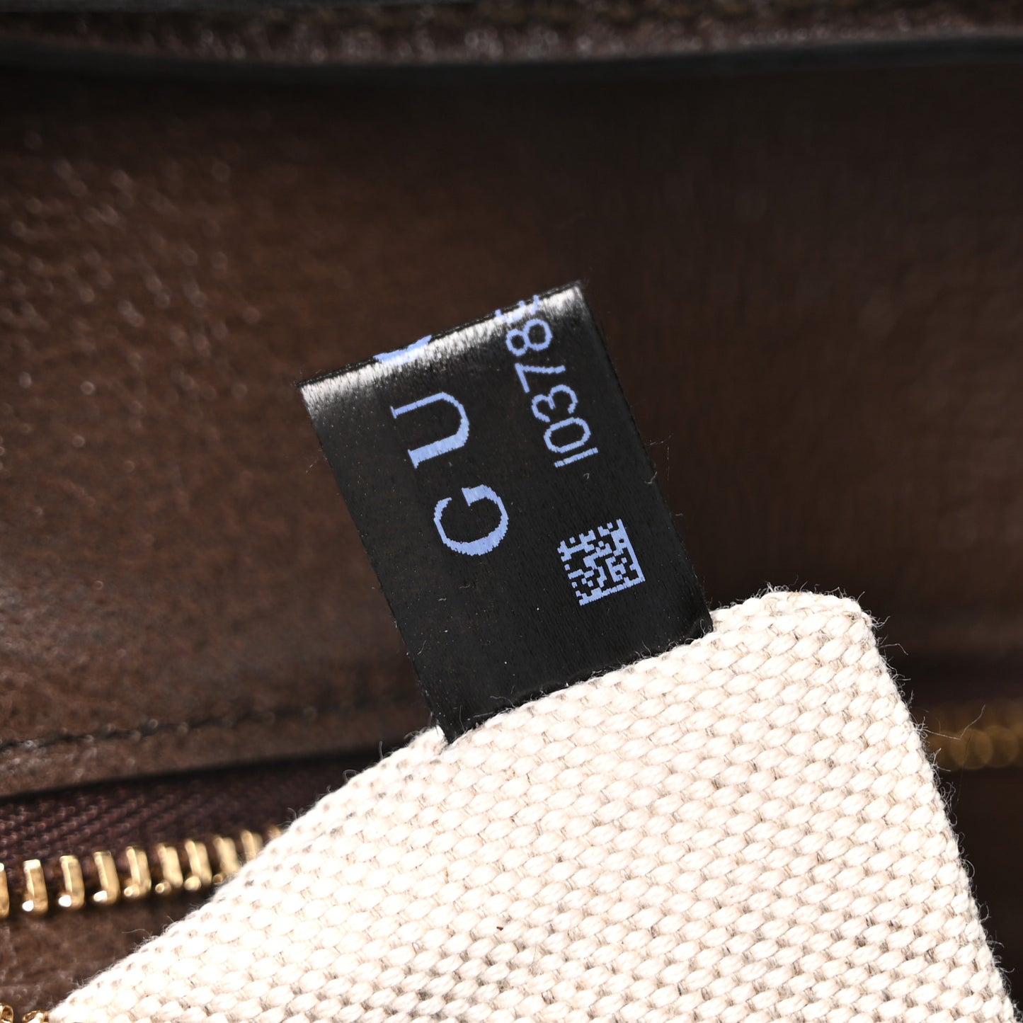GG Supreme Monogram Textured Dollar Calfskin Blondie Chain Shoulder Flap Bag Beige Ebony New Acero