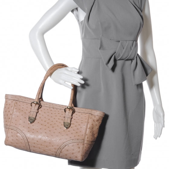Gucci Ostrich Signoria Medium Tote Nude 2 of 7