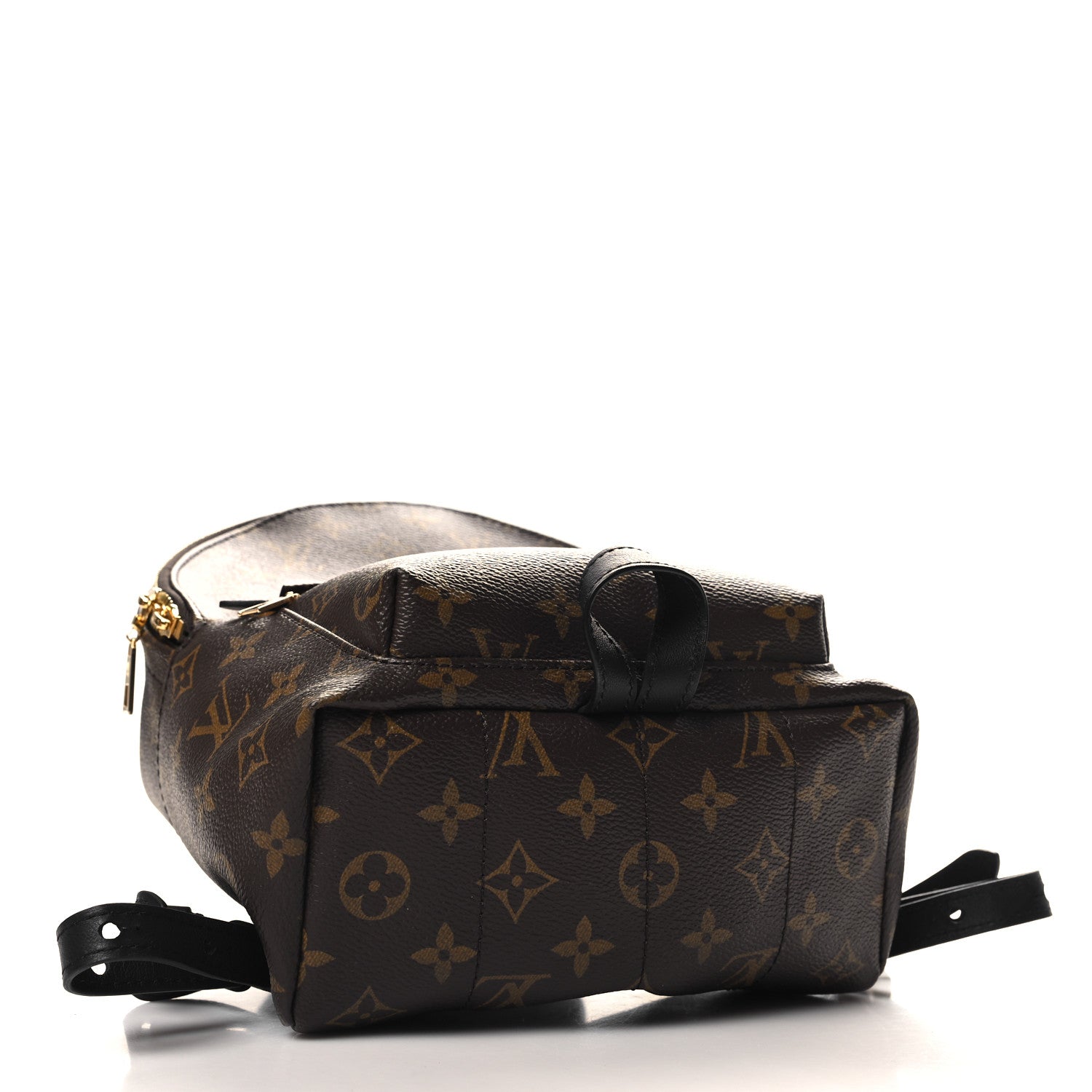 Louis Vuitton Monogram Palm Springs Backpack PM 4 of 10