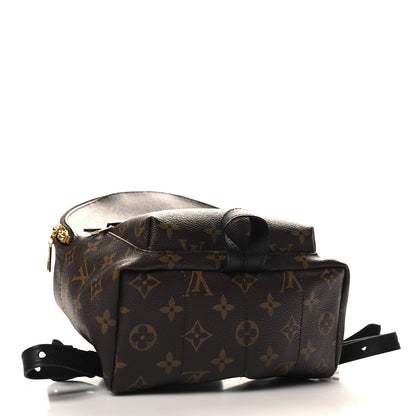Louis Vuitton Monogram Palm Springs Backpack PM 4 of 10
