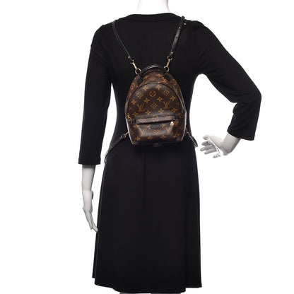 Louis Vuitton Monogram Palm Springs Backpack Mini 3 of 21