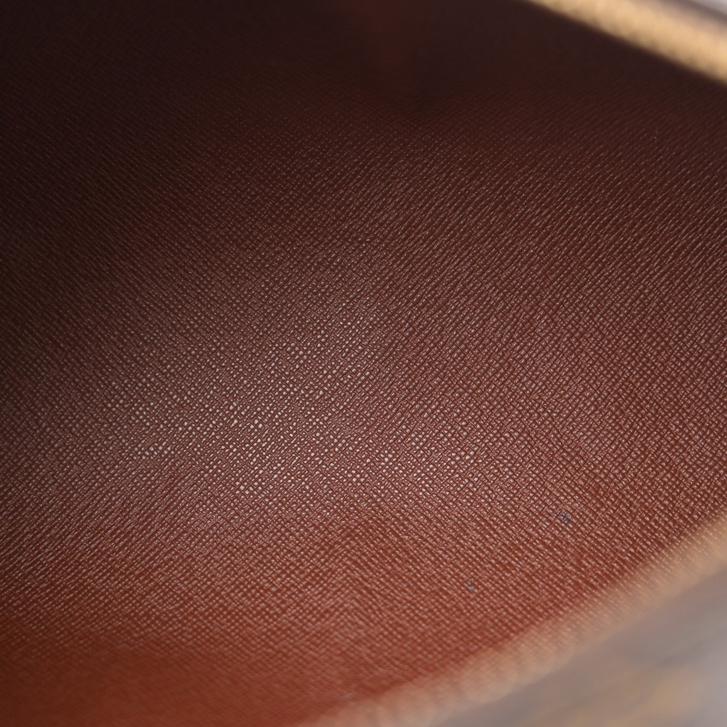 Monogram Papillon 26