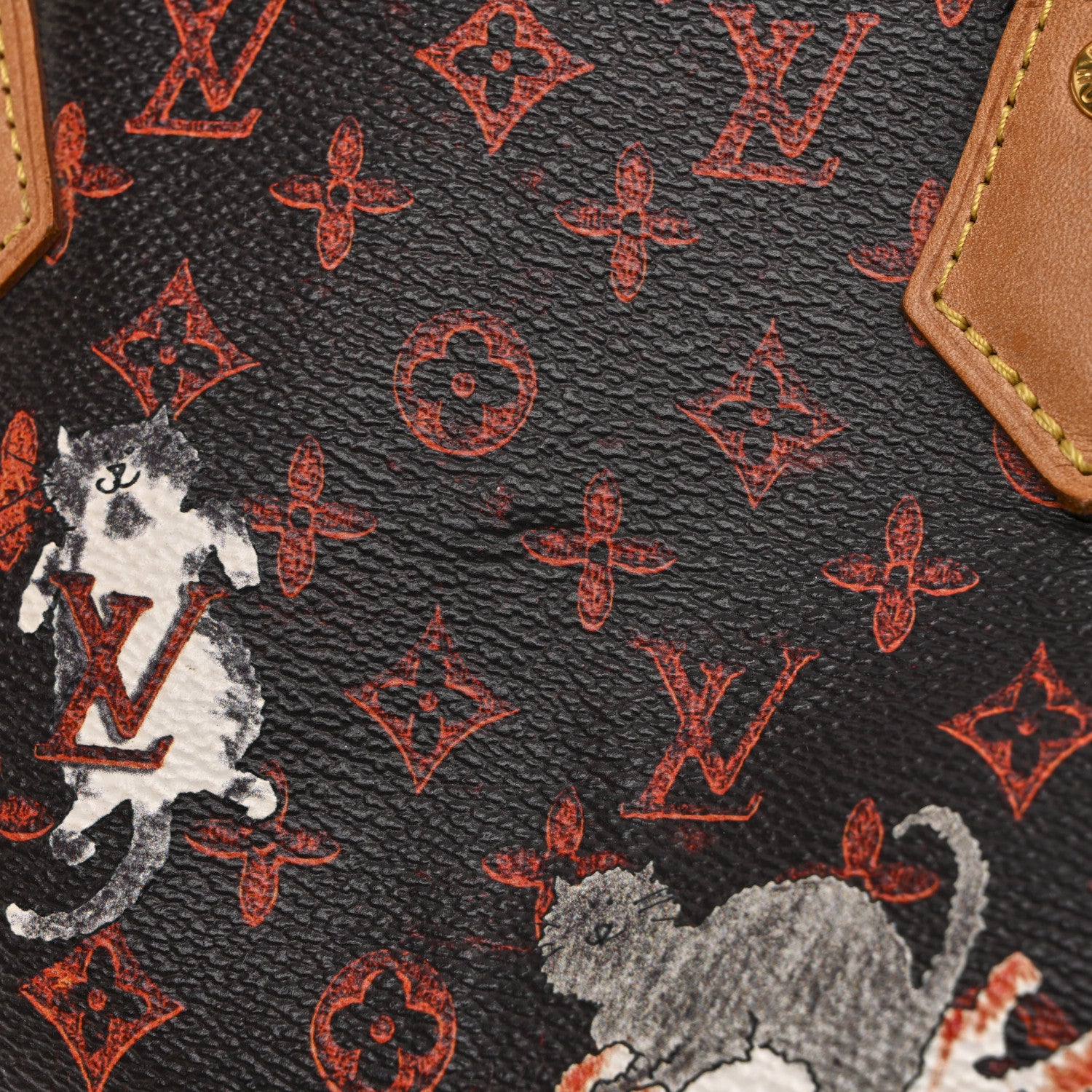 Louis Vuitton Catogram Speedy Bandouliere 30 Marron 13 of 14