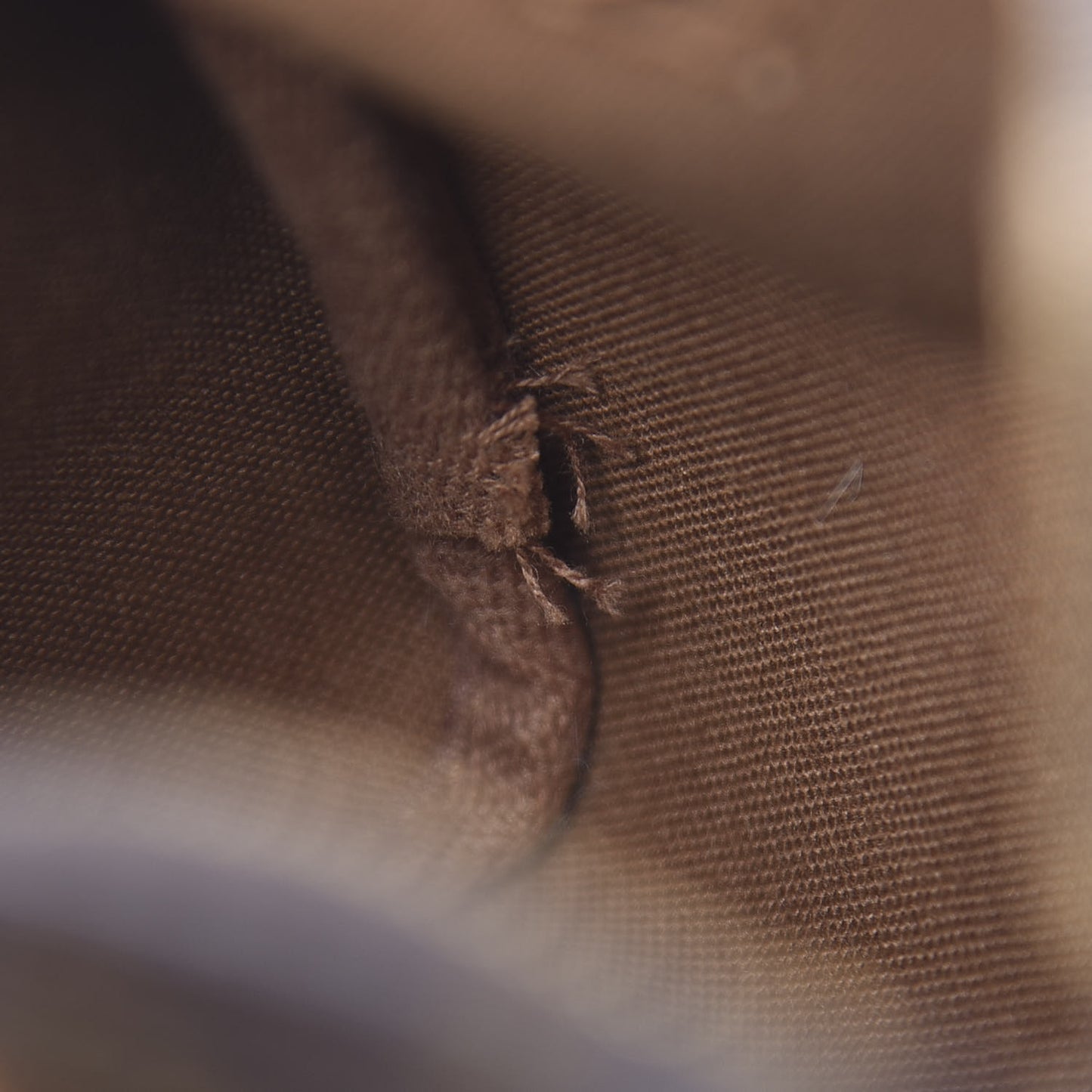 Monogram Nano Speedy