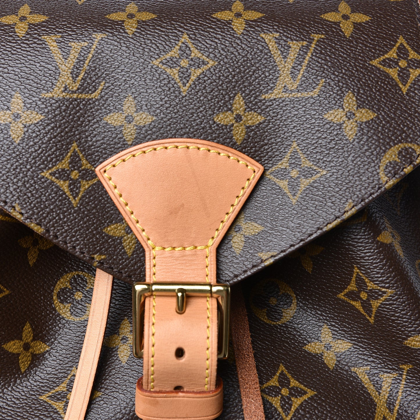 Monogram Montsouris GM Backpack