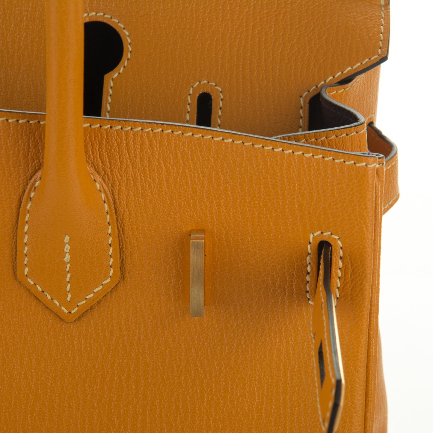 Chevre Mysore Horseshoe Birkin 30 Curry Raisin