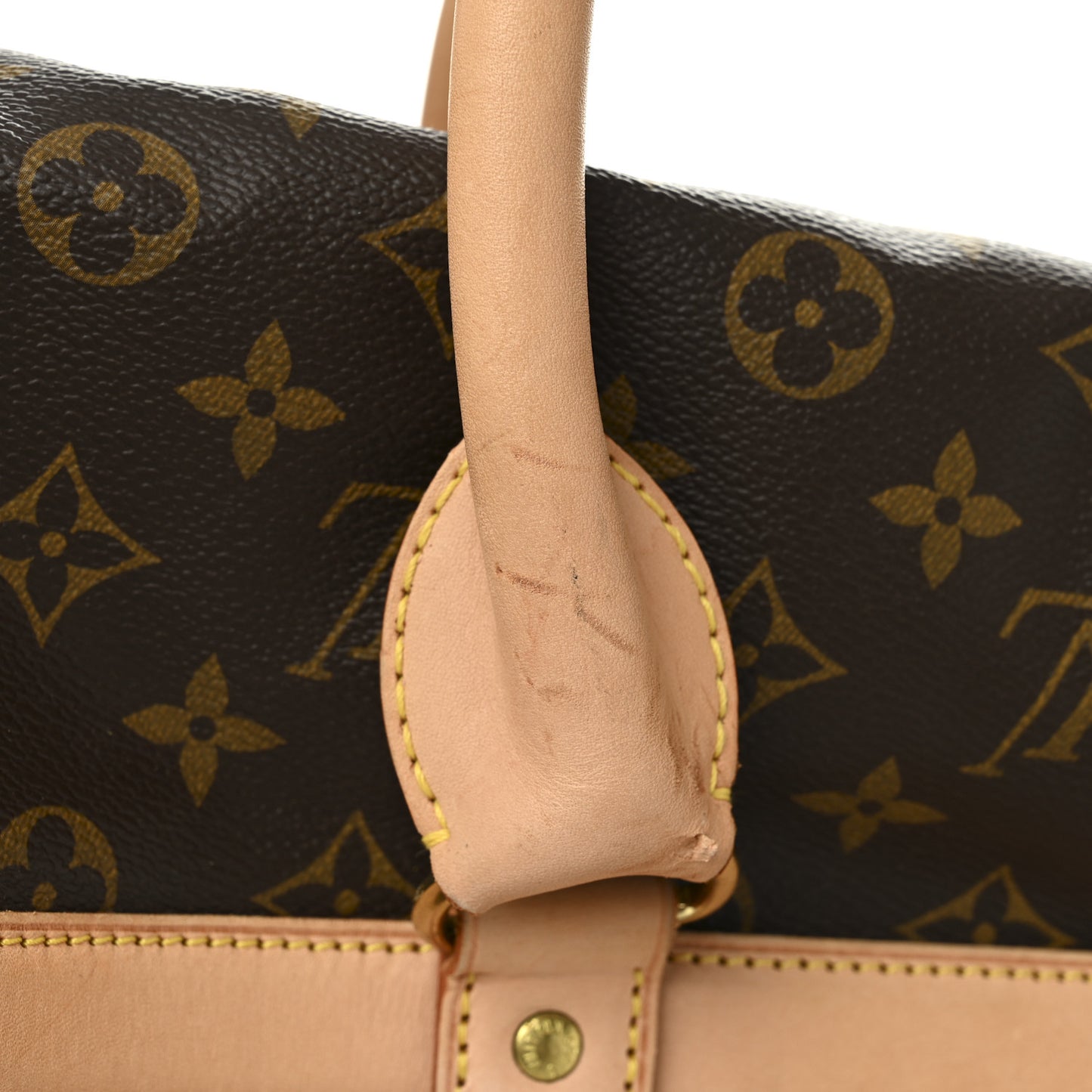 Monogram Dog Carrier 50