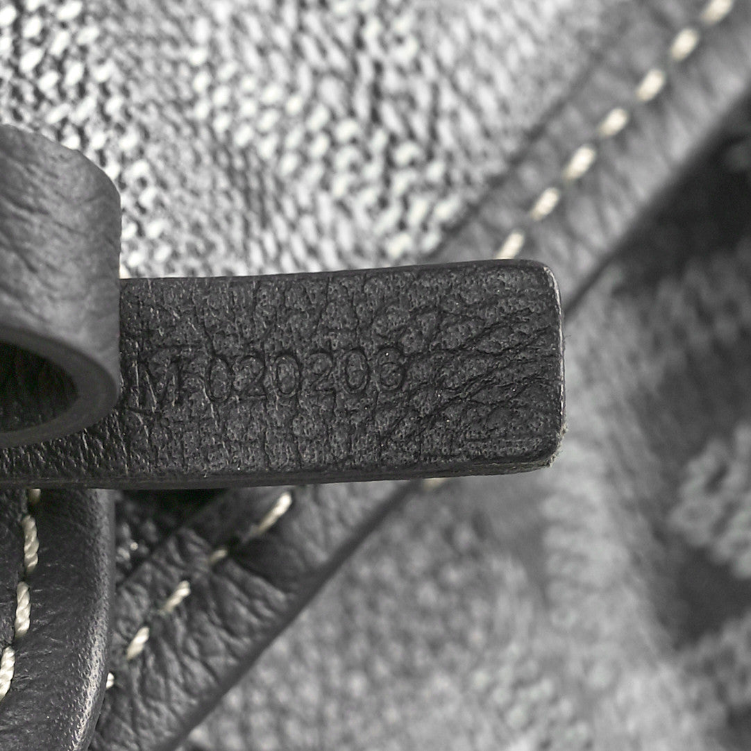 Goyard Goyardine Saint Louis PM Grey 9 of 11