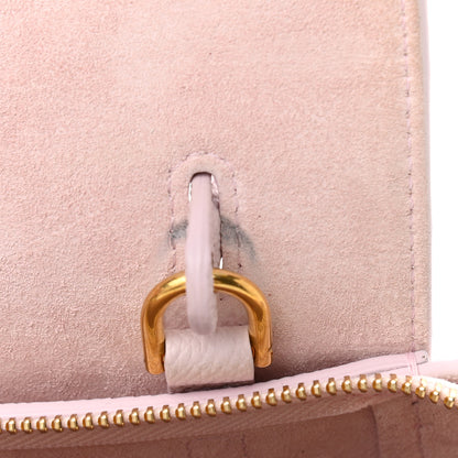 Celine Grained Calfskin Pico Belt Bag Poudre 11 of 12