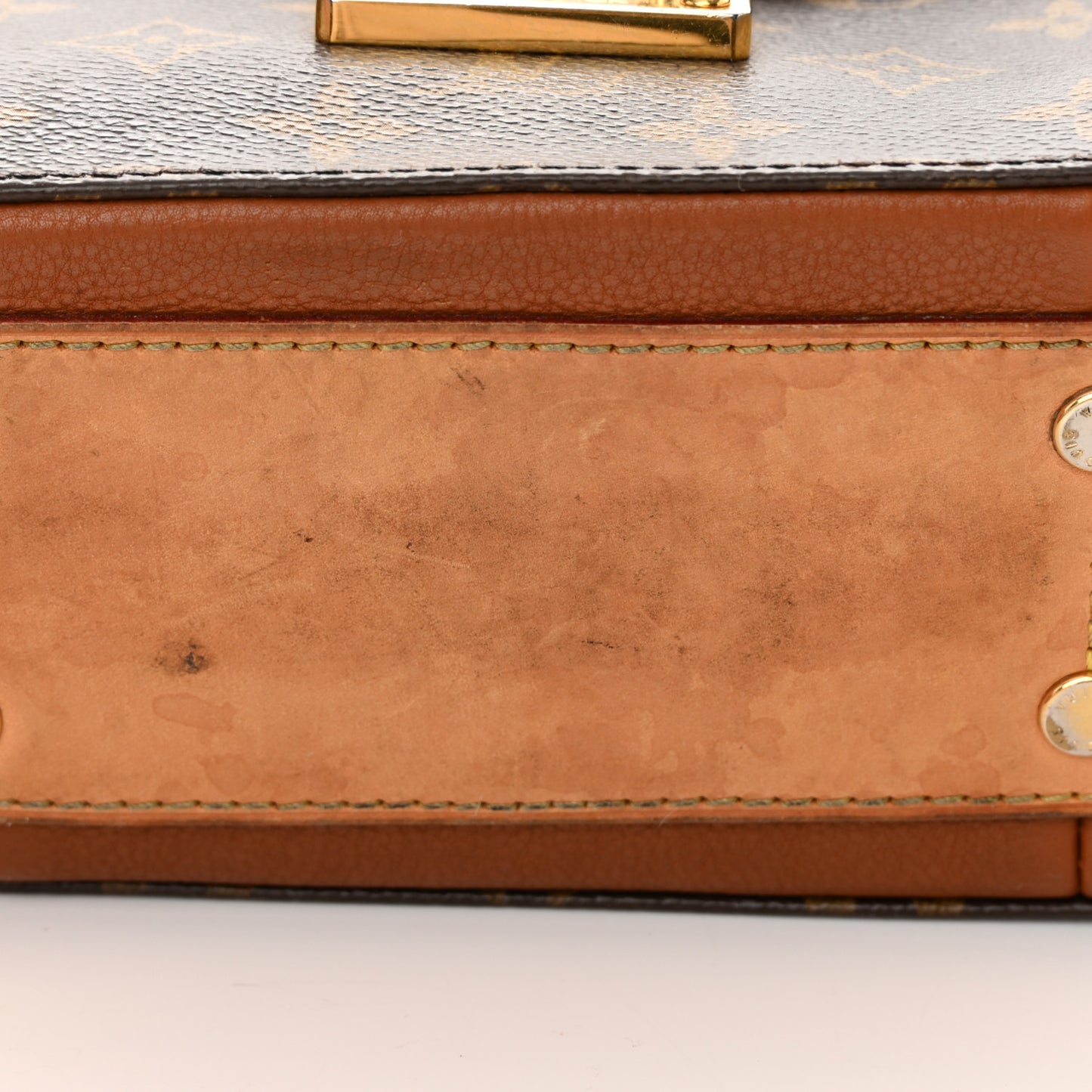 Monogram Eden MM Camel