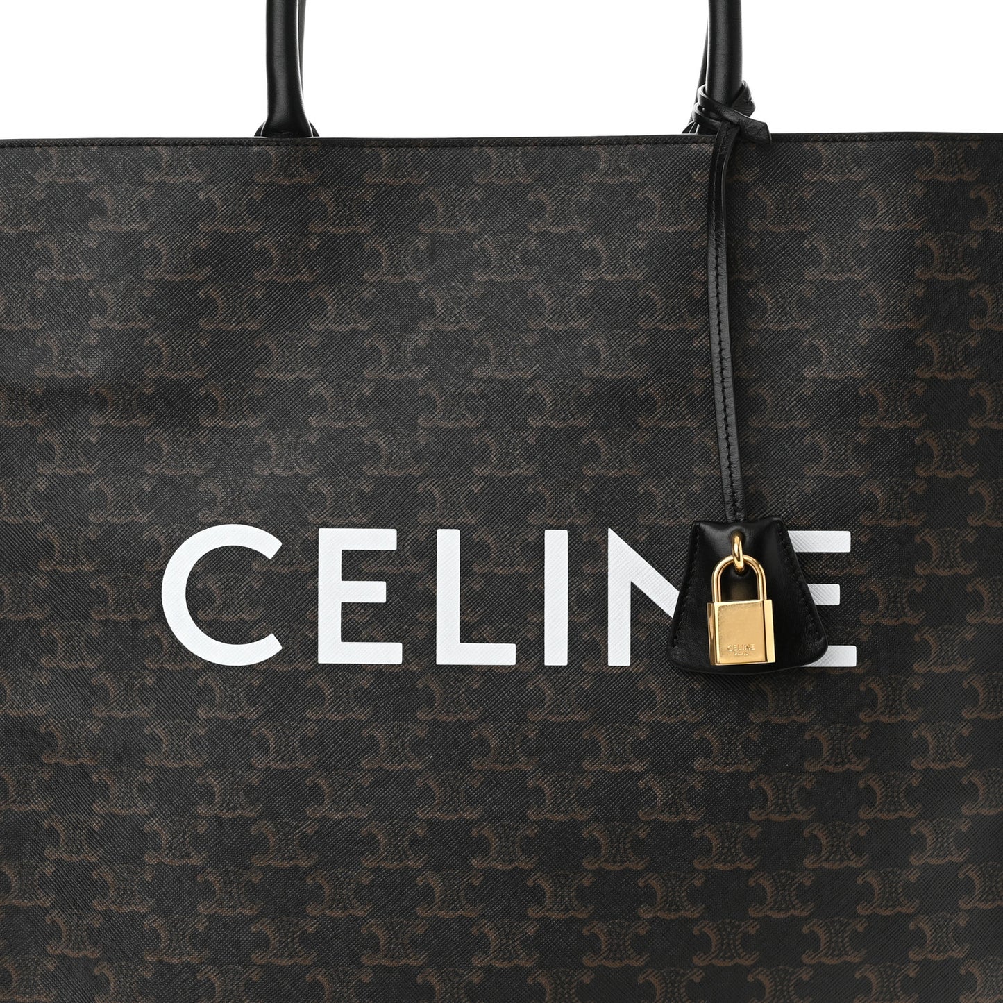 Triomphe Canvas Calfskin Large Vertical Cabas Black