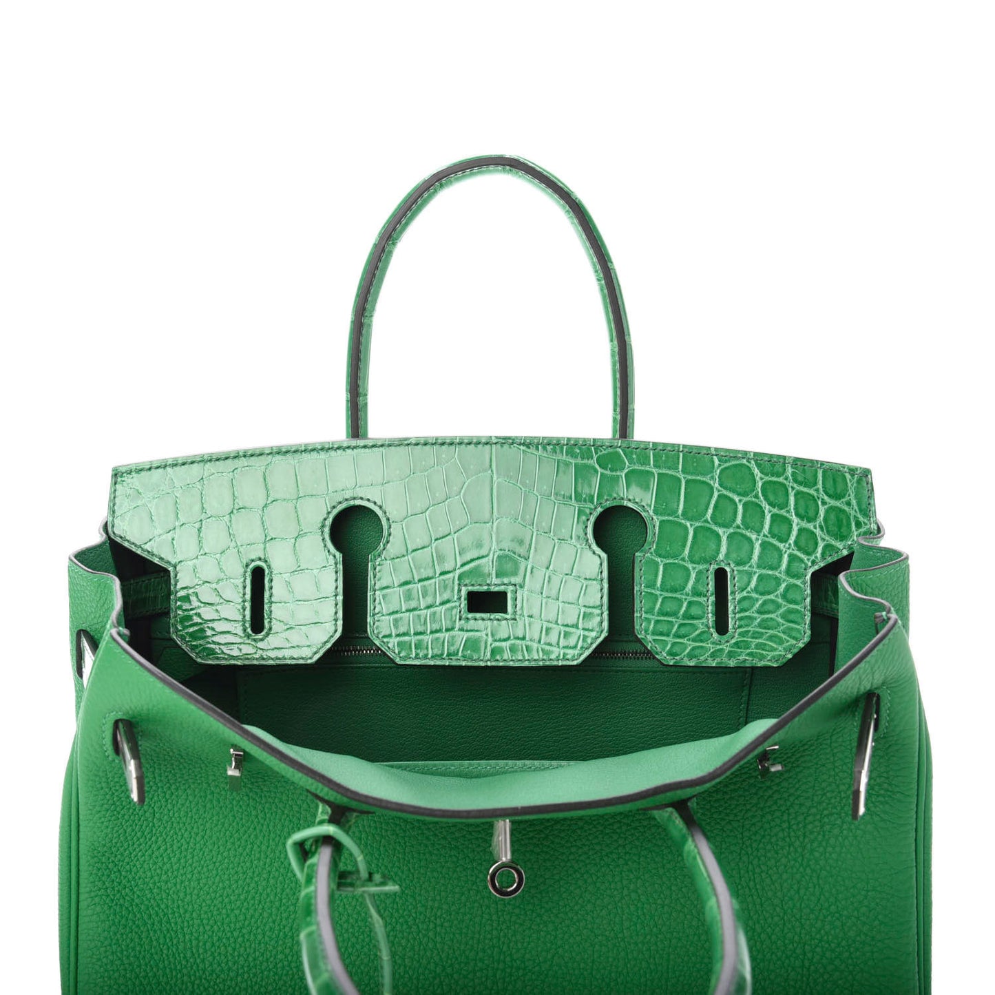 Togo Shiny Niloticus Crocodile Birkin Touch 30 Bamboo Cactus