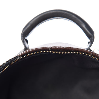 Louis Vuitton Monogram Palm Springs Backpack Mini 9 of 16