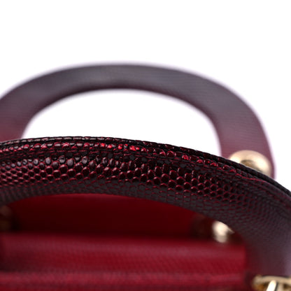 Christian Dior Lizard Gradient Mini Lady Dior Red 14 of 15