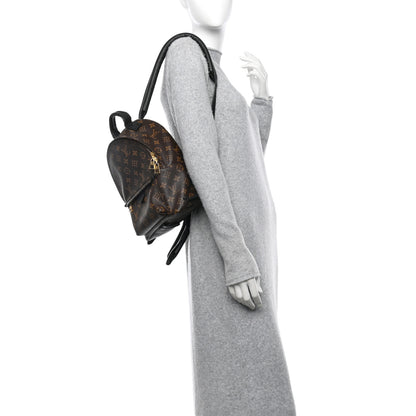 Louis Vuitton Monogram Palm Springs Backpack PM 2 of 12